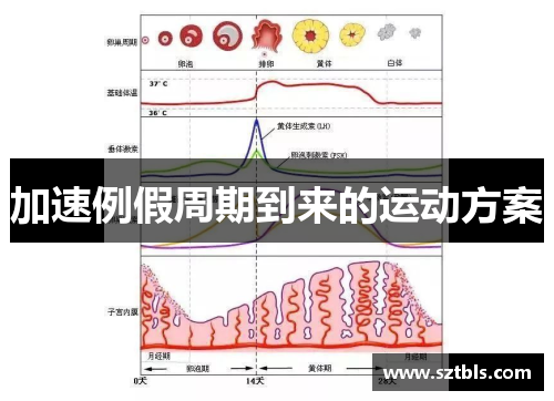 加速例假周期到来的运动方案